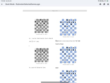 chess view book with subvariation view