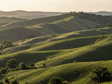 Panoramic view of rolling hills in Marchigüe, native trees, crisp morning light