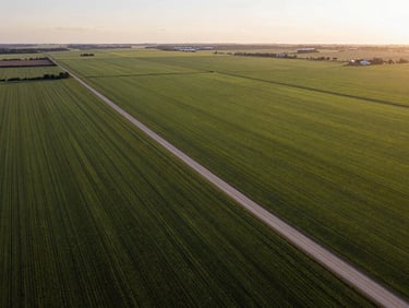 Aerial view of flat green agricultural plot in Litueche, clear access roads, golden hour lighting