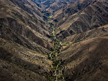 Drone perspective of valley plots in Pumanque, clear topography, native Chilean vegetation