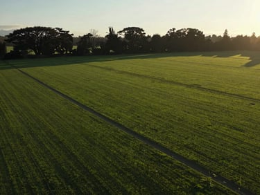 Cinematic drone view of a perfectly flat green land plot in southern Chile, clear property boundaries marked, golden hour lighting, native trees in the background.