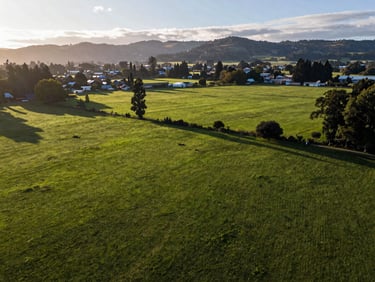Vista aérea de parcela plana en Osorno, praderas verdes delimitadas, luz natural de mañana