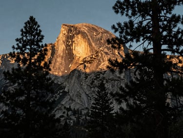 Golden morning light hitting a granite mountain peak in the Sierra Nevada, ancient pine trees in the foreground, high-contrast shadows.