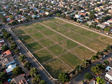 Aerial view of a full kanal plot within the WAPDA Town grid, clear plot demarcation lines, surrounding completed boundary walls of neighbouring plots, wide tree-lined society road, mid-morning light