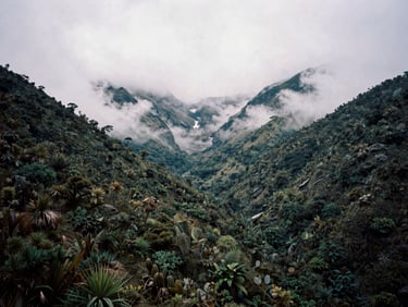 Majestic misty peaks of the Sierra Nevada de Santa Marta, dense mountain vegetation, low clouds, natural overcast light, documentary film photography, 35mm lens.
