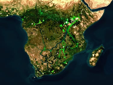 High-contrast satellite visualization of West African coastal river delta, glowing green vegetation indices, dark blue water channels, clean digital interface