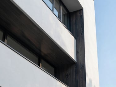 Close-up of a modern architectural interior with clean lines, dust-free custom dark wood millwork, bright daylight.