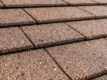 Macro close-up of asphalt shingles showing subtle, difficult-to-spot hail bruising, under bright Texas sunlight, sharp focus, 35mm architectural lens.