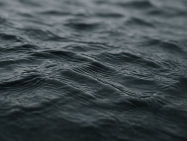 Extreme macro shot of dark water ripples, low-contrast overcast daylight, quiet focus, tactile texture of smooth basalt stone underneath.