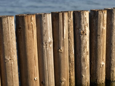 Close-up of robust shoreline cribwork, bright natural daylight highlighting wood grain, crisp details.