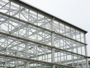 Close-up architectural shot of a modern glass greenhouse facade, diffused light, reflecting overcast sky, structural steel frame visible.