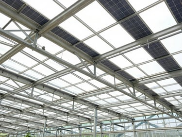 Low-angle shot of a greenhouse roof with integrated solar panels, structural steel trusses visible, bright daylight.