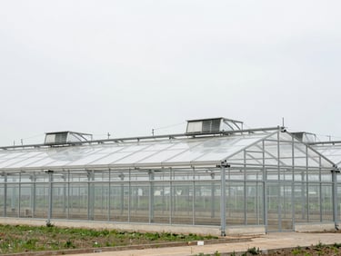 Exterior architectural shot of a livestock greenhouse, robust steel frame, ventilation systems prominent, rural setting.