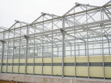High-contrast technical schematic highlighting thermal insulation layers within a greenhouse wall, industrial architectural style.
