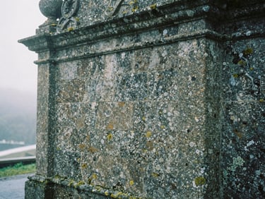 Close-up of the stone facade of the Santuario de San Andrés de Teixido, wet with mist, showing intricate details of ancient granite and lichen, soft overcast daylight, 35mm film