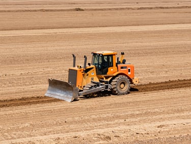 Wide environmental shot of a large tract of land being cleared by a DIVERSIFIED RESOURCES INC bulldozer and excavator, bright natural daylight, Southern terrain, high contrast earth tones