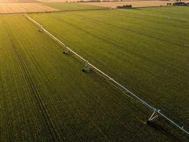 Sustainable agricultural corridor, drone shot over vast green fields, modern irrigation, warm sunlight, wide environmental landscape.