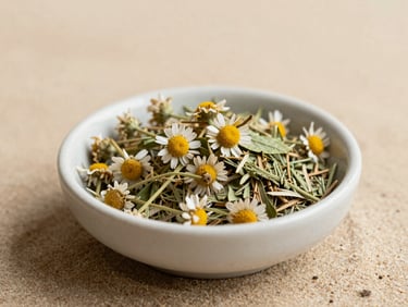 A close-up of fresh botanical ingredients, dried chamomile and green herbs in a small ceramic bowl on a warm sand surface, soft natural daylight.