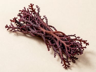Overhead flat-lay of dried Gracilaria seaweed on a pale neutral surface, tangled reddish-purple fronds showing fine branching fiber structure, bright diffused studio light, minimal shadow, true color
