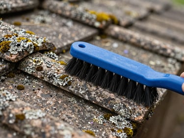 Macro shot of moss-covered aged roof tiles being cleaned with a stiff brush, granular texture of lichen and stone visible under flat daylight, no person in frame
