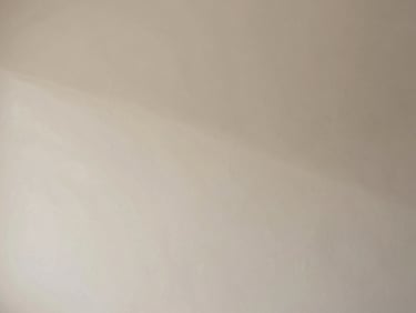 Close-up of a minimalist wall finished in bone-colored decorative mineral paint, soft shadows