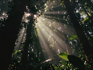 Cinematic film still, low-angle shot of a lush tropical forest canopy with dramatic shafts of sunlight breaking through mist.