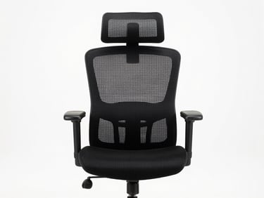 Studio photograph of a high-back black mesh ergonomic office chair with lumbar support and adjustable armrests, front-facing straight-on angle, white background, bright studio lighting, no people