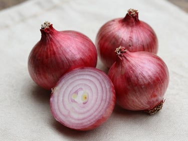 Bright red Lasalgaon onions, two halved cross-sections showing vivid concentric rings alongside whole bulbs, on an ivory linen surface in sharp natural daylight, true deep-red colour