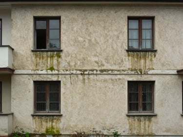 Ground-level view of a residential building facade with heavy algae and dirt streaking on rendered plaster surface, overcast daylight showing discoloration clearly