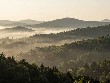 Wide cinematic environmental shot of the Appalachian foothills at sunrise, soft morning mist in the valleys, diffused natural light.