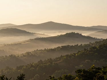 Cinematic wide shot of the Appalachian foothills surrounding Charleston at sunrise, soft low-contrast morning light misting over the hills, elegant compositions with deep negative space.