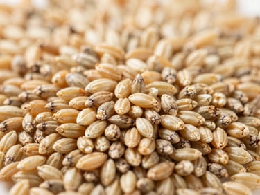 Macro close-up of raw agricultural grains and minerals in bulk, showing clean textures under bright daylight.