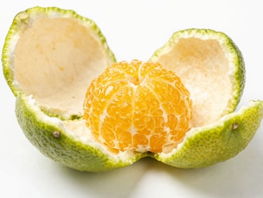 Macro close-up of fresh citrus peels and vibrant orange pulp on clinical white background, crisp botanical photography, sharp focus