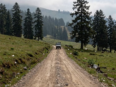 Panoramic wide shot of Chopta meadow valley in Uttarakhand, a dirt road cutting through pine forest, overcast morning light, a loaded 4WD visible on the track