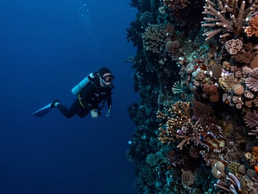 Wide-angle shot of a diver hovering near a steep coral wall in deep blue water, high-contrast strobe, 35mm