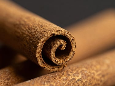 Macro photograph of tightly rolled Alba grade Ceylon cinnamon quills, warm gold tones, side lighting, shallow depth of field.