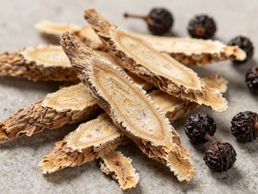 Extreme close-up overhead flat-lay of dried ashwagandha root slices and whole withania somnifera berries on a neutral stone surface under bright studio light, raw texture clearly visible