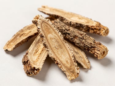 Extreme close-up overhead of dried medicinal roots and bark pieces on a plain off-white surface, bright studio daylight from above, sharp focus on fibrous textures and earthy tones, no props or styling