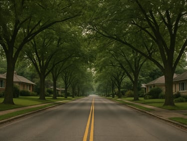 Wide shot of Route 116 approaching Saint-Bruno-de-Montarville, mature tree canopy over a residential side street, single-family homes set back from the road, soft overcast light