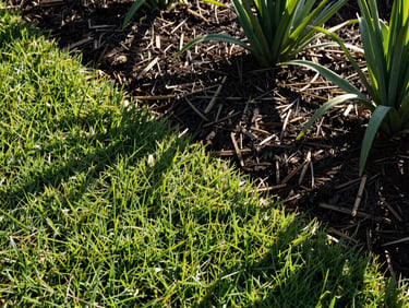 Crisp lawn edge bordering a freshly mulched garden bed, bright morning sun casting sharp clean shadows.