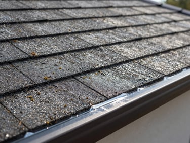 Close-up of clean residential roof shingles after treatment, surface dry and free of moss or debris, flashing edge clearly visible and intact, bright natural daylight showing texture, no people