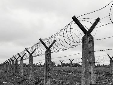 Harsh overcast daylight on the rusted barbed wire and concrete pillars of a historical camp, wide environmental framing, stark black and white.