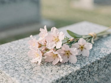 Close-up of delicate seasonal flowers placed on a clean granite headstone, soft morning light, muted sage and pale pink tones, shallow depth of field
