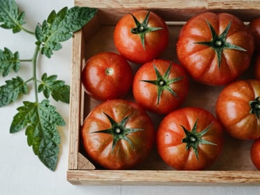 Overhead flat-lay of freshly harvested heirloom tomatoes on a wooden crate, soft morning light, forest green leaves