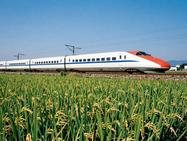 A high-speed Shinkansen train cutting through lush green rice fields in rural Japan, bright clear daylight, vivid colors, 35mm