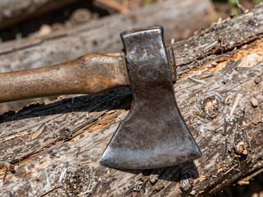 An old steel axe head with deep nicks and scratches embedded in a split log, hard direct sunlight, 50mm lens