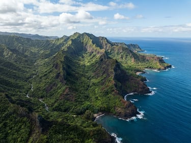 Wide-angle aerial shot of a lush Hawaiian watershed, volcanic ridges meeting deep blue ocean, bright natural daylight, 35mm lens.