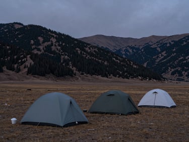 Authentic campsite setup at dusk on the vast, wild Deosai Plains, moody overcast mountain weather, rugged tents pitched on dry alpine tundra.