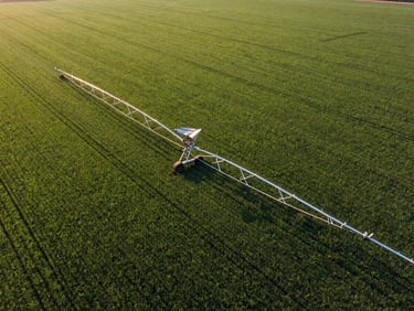 Drone shot of a vast, uniformly green field, showing efficient irrigation patterns, golden hour light.