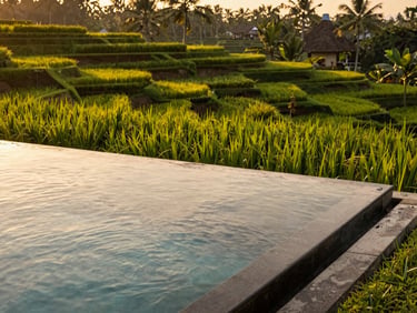 Infinity pool overlooking lush rice terraces in Bali, golden hour, rich tones